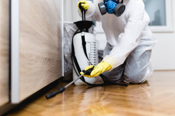 Best Local Pest Control Services  in Osage, IA