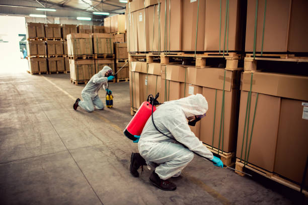 Best Affordable Exterminators  in Osage, IA