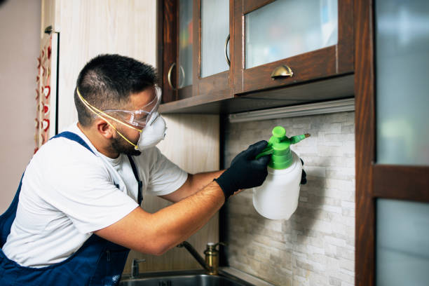 Best Pest Inspection Near Me  in Osage, IA