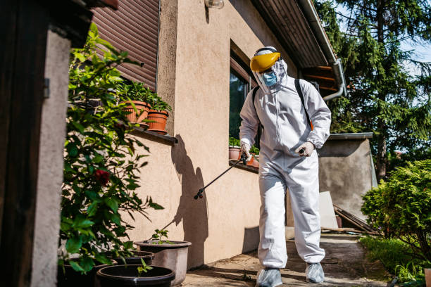 Best Exterminator Services  in Osage, IA