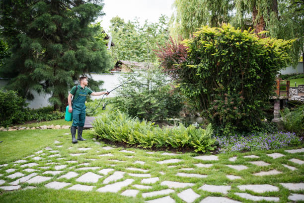 Best Wasp Removal Services  in Osage, IA