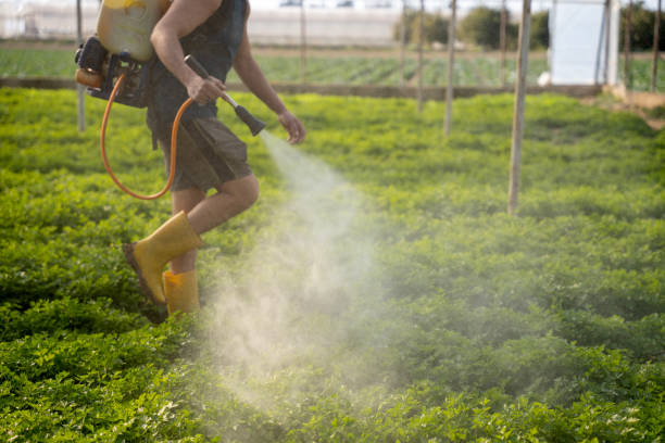 Reliable Osage, IA Pest Control Solutions