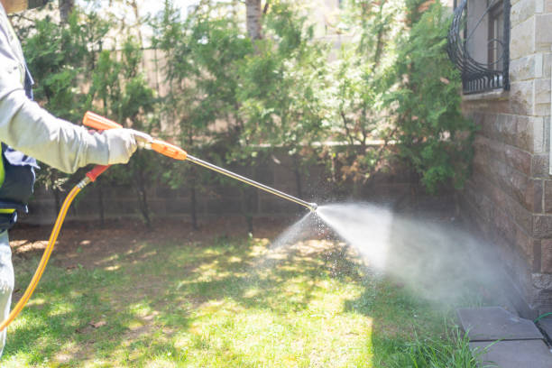 Best Pest Removal Services  in Osage, IA