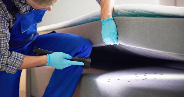 Pest Prevention Services in Osage, IA