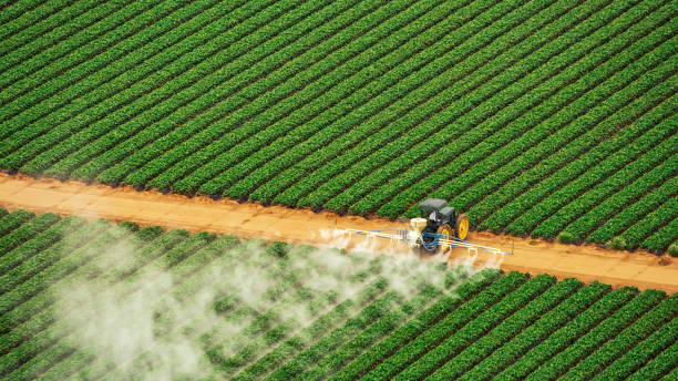 Best Pest Prevention Services  in Osage, IA