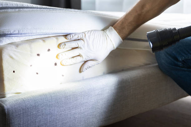 Best Best Pest Control Companies  in Osage, IA