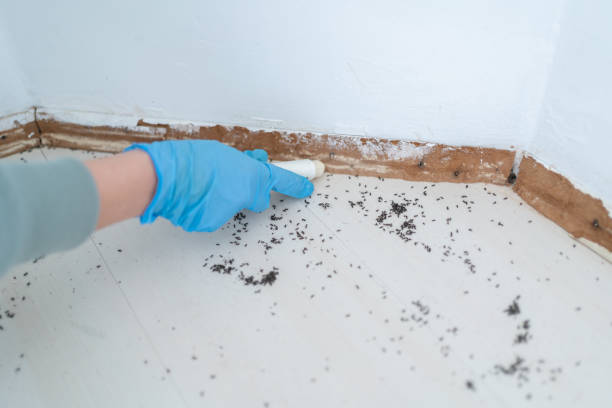 Best Emergency Pest Control  in Osage, IA